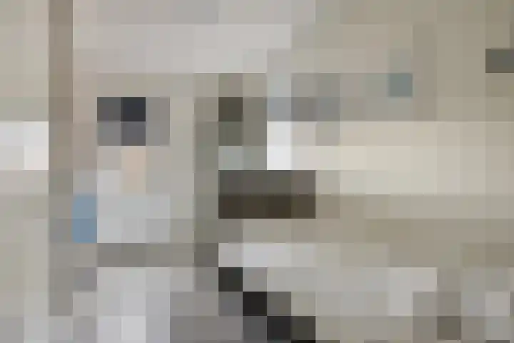 Castellum 77 Noordwijkerhout thumbnail 47