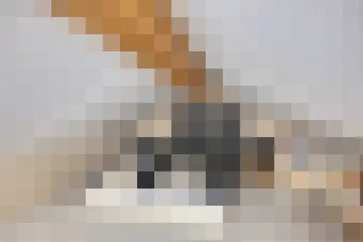 Castellum 77 Noordwijkerhout thumbnail 52