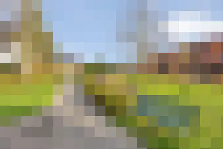 Castellum 77 Noordwijkerhout thumbnail 64