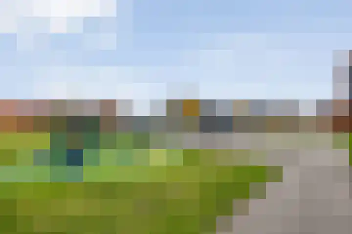 Castellum 77 Noordwijkerhout thumbnail 65