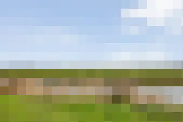 Castellum 77 Noordwijkerhout thumbnail 67