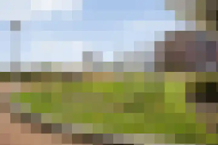 Castellum 77 Noordwijkerhout thumbnail 68