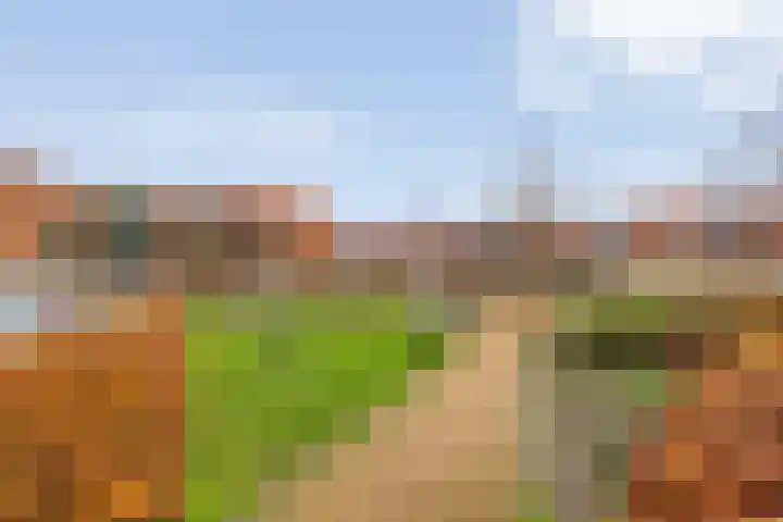 Castellum 77 Noordwijkerhout thumbnail 69
