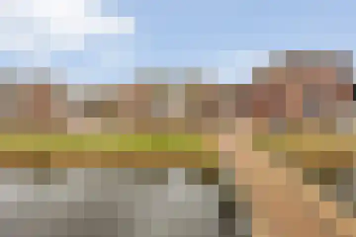 Castellum 77 Noordwijkerhout thumbnail 70