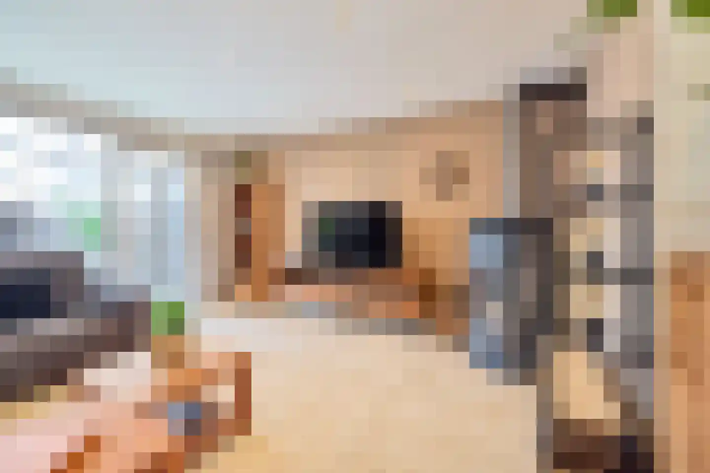 Castellumlaan 10 De Meern thumbnail 14