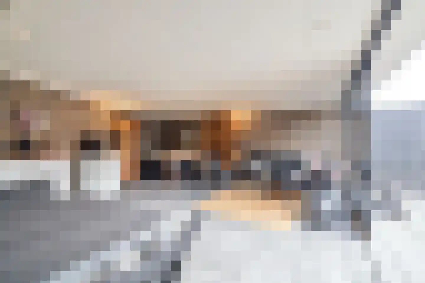 Castellumlaan 10 De Meern thumbnail 21