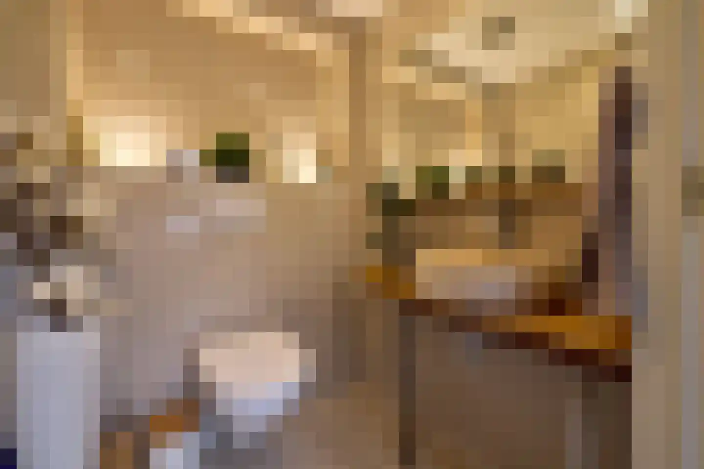 Castellumlaan 10 De Meern thumbnail 26