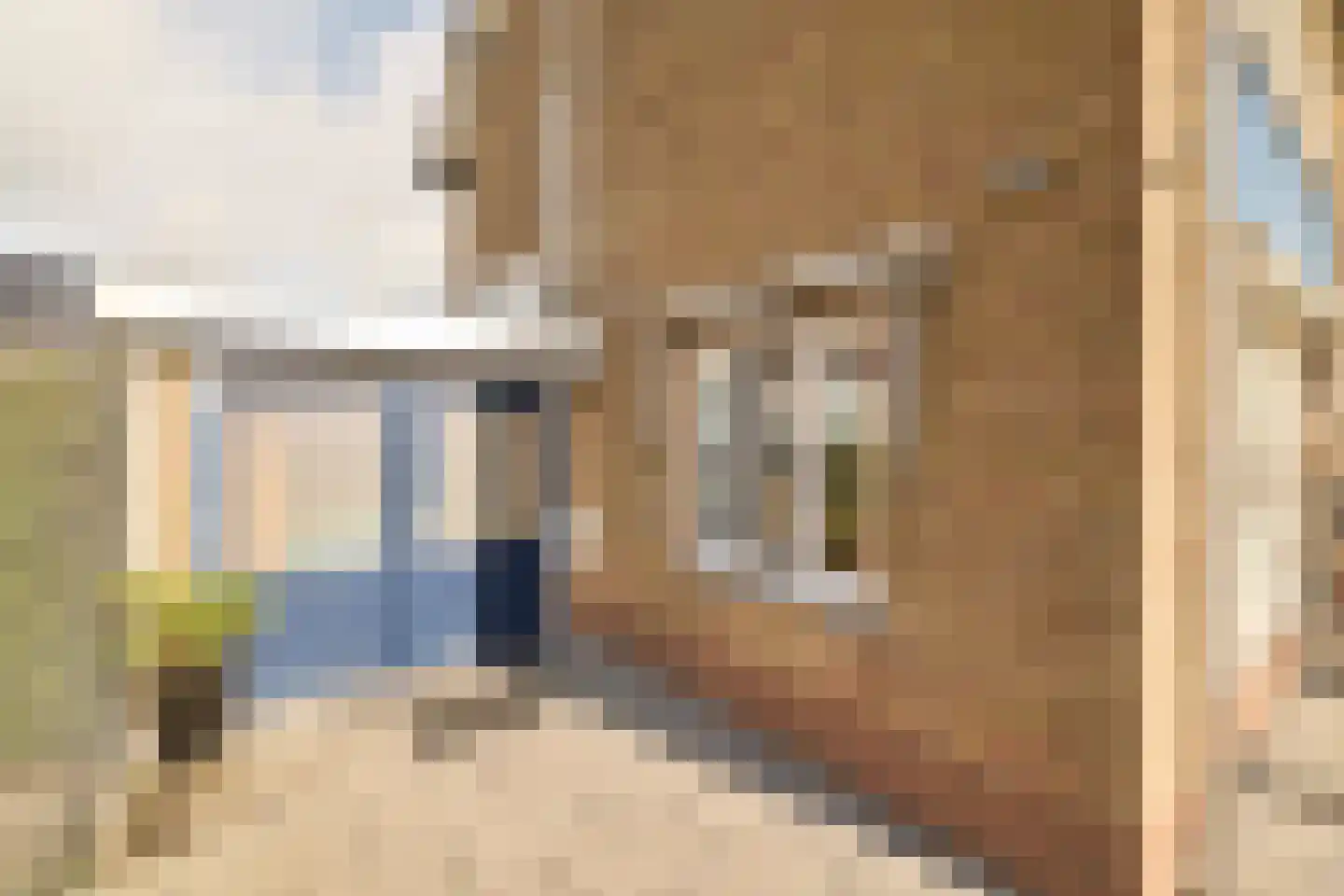 Castellumlaan 10 De Meern thumbnail 46