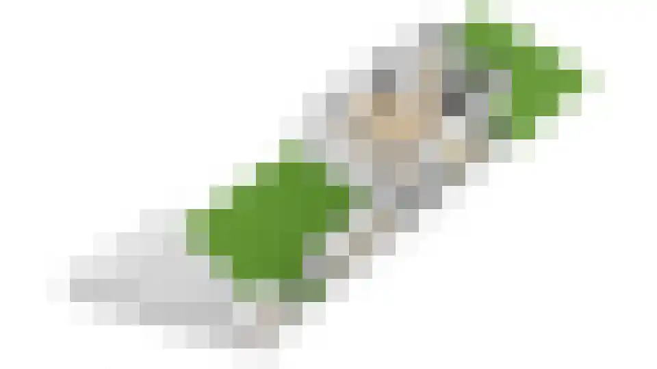 Castellumlaan 10 De Meern thumbnail 54