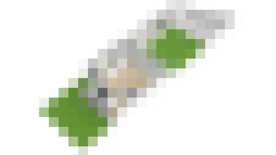 Castellumlaan 10 De Meern thumbnail 55