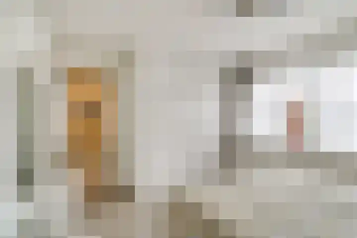 Castellumlaan 12 De Meern thumbnail 18