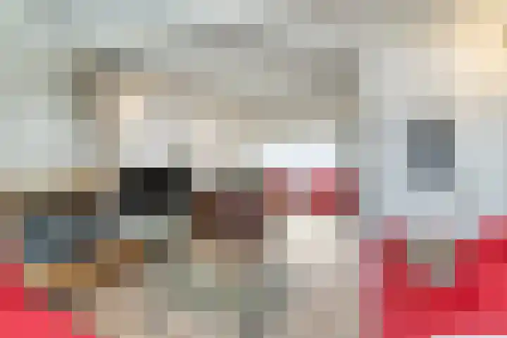 Castellumlaan 12 De Meern thumbnail 4