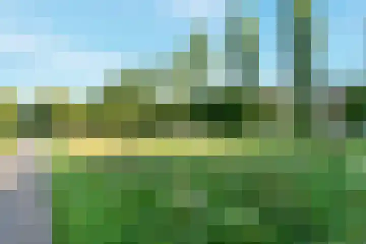 Castellumlaan 12 De Meern thumbnail 42