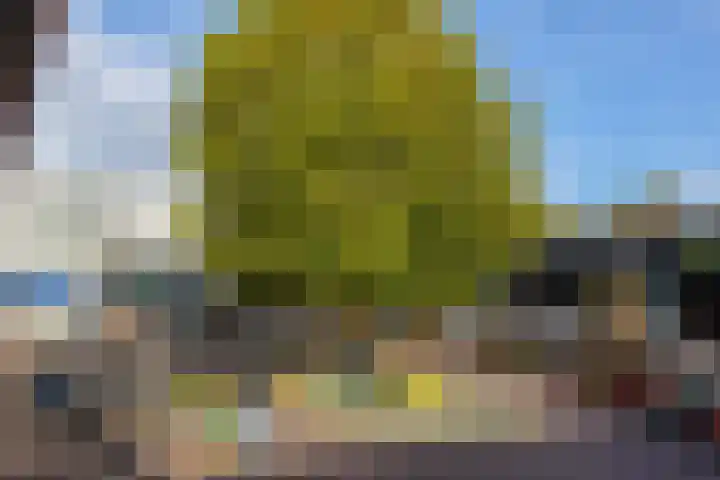 Castellumlaan 17 De Meern thumbnail 100