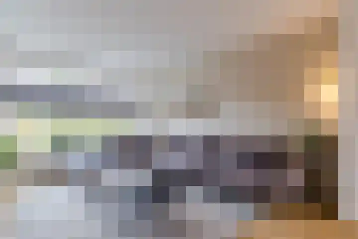 Castellumlaan 17 De Meern thumbnail 11