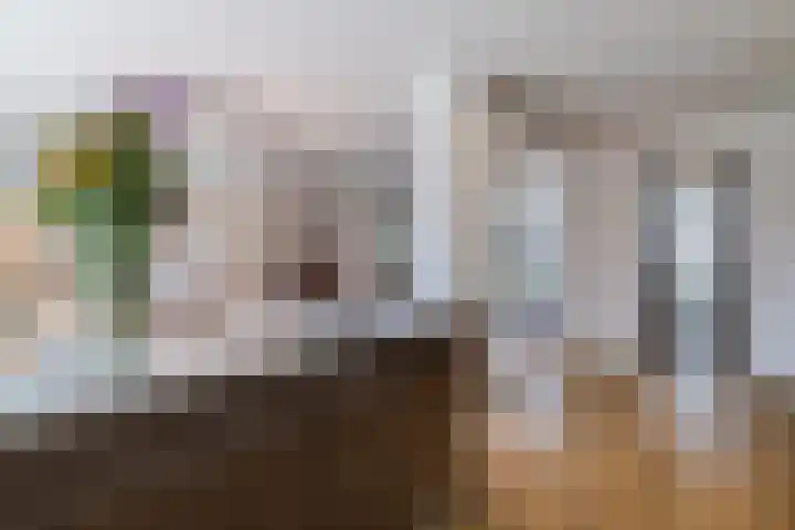 Castellumlaan 17 De Meern thumbnail 18