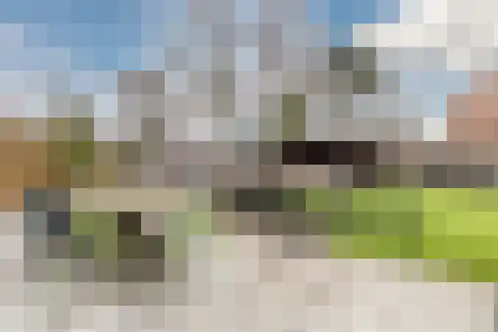 Castellumlaan 17 De Meern thumbnail 40