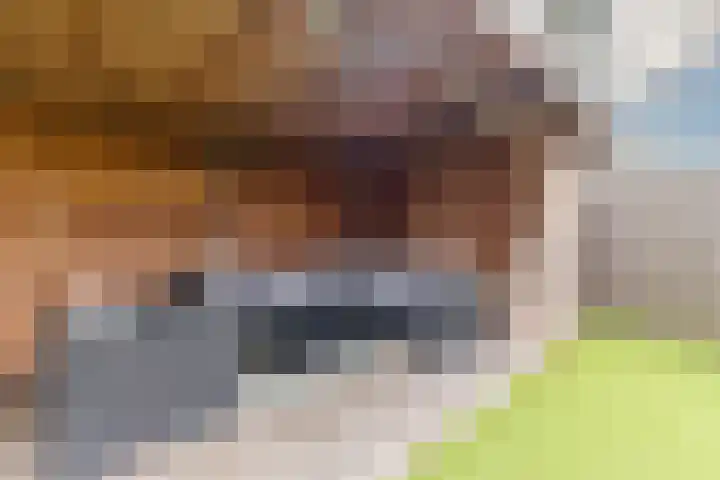 Castellumlaan 17 De Meern thumbnail 42