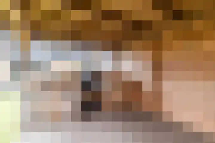 Castellumlaan 17 De Meern thumbnail 43