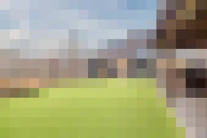 Castellumlaan 17 De Meern thumbnail 45