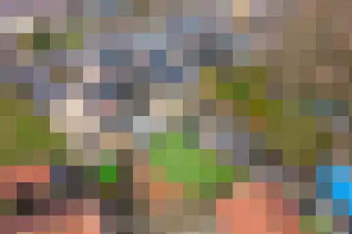 Castellumlaan 17 De Meern thumbnail 46