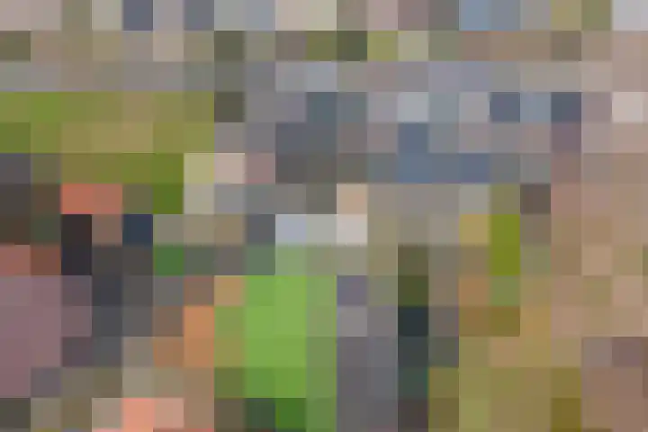 Castellumlaan 17 De Meern thumbnail 47