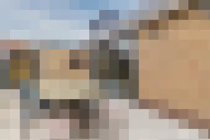 Castellumlaan 17 De Meern thumbnail 52