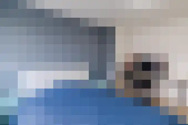 Castellumlaan 17 De Meern thumbnail 69