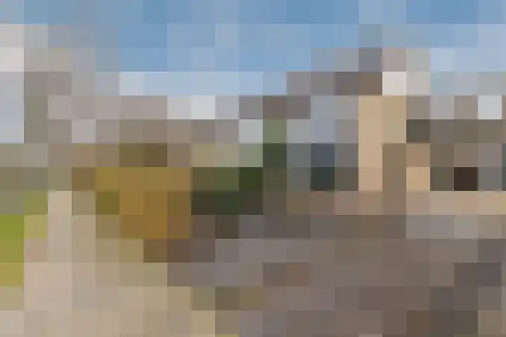 Castellumlaan 17 De Meern thumbnail 83