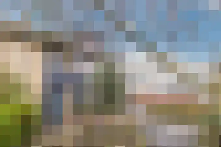 Castellumlaan 17 De Meern thumbnail 85