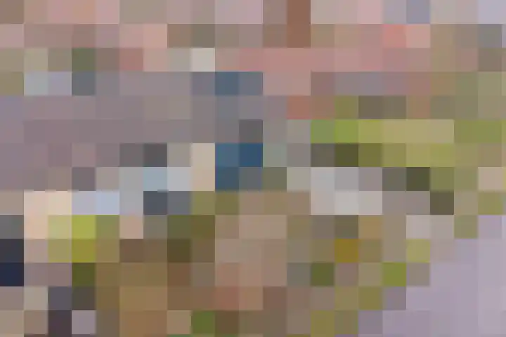 Castellumlaan 17 De Meern thumbnail 88