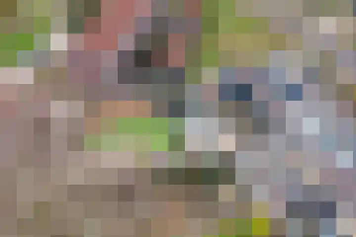 Castellumlaan 17 De Meern thumbnail 89