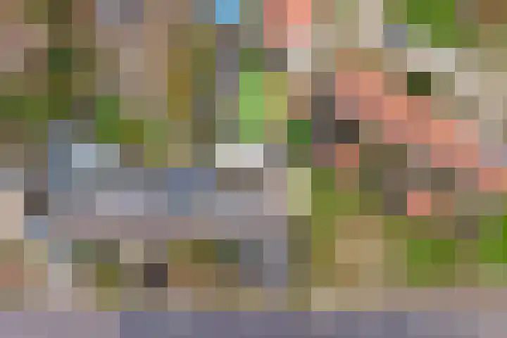 Castellumlaan 17 De Meern thumbnail 90