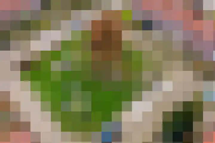 Castellumlaan 17 De Meern thumbnail 91