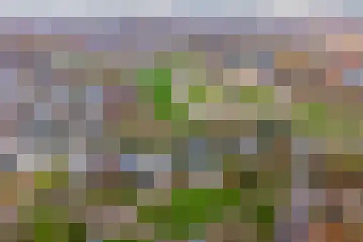 Castellumlaan 17 De Meern thumbnail 93