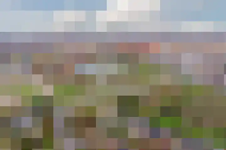 Castellumlaan 17 De Meern thumbnail 94