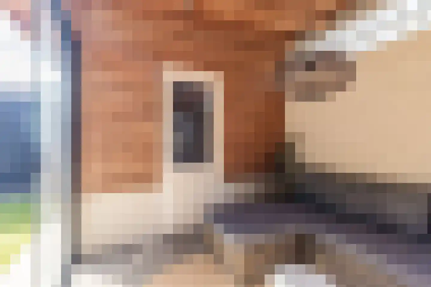 Castellumlaan 22 De Meern thumbnail 24