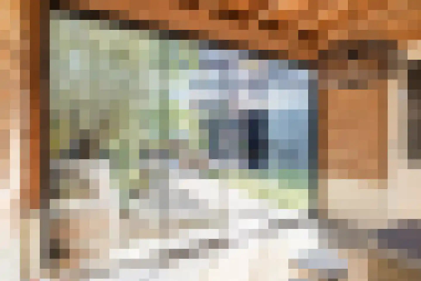 Castellumlaan 22 De Meern thumbnail 25