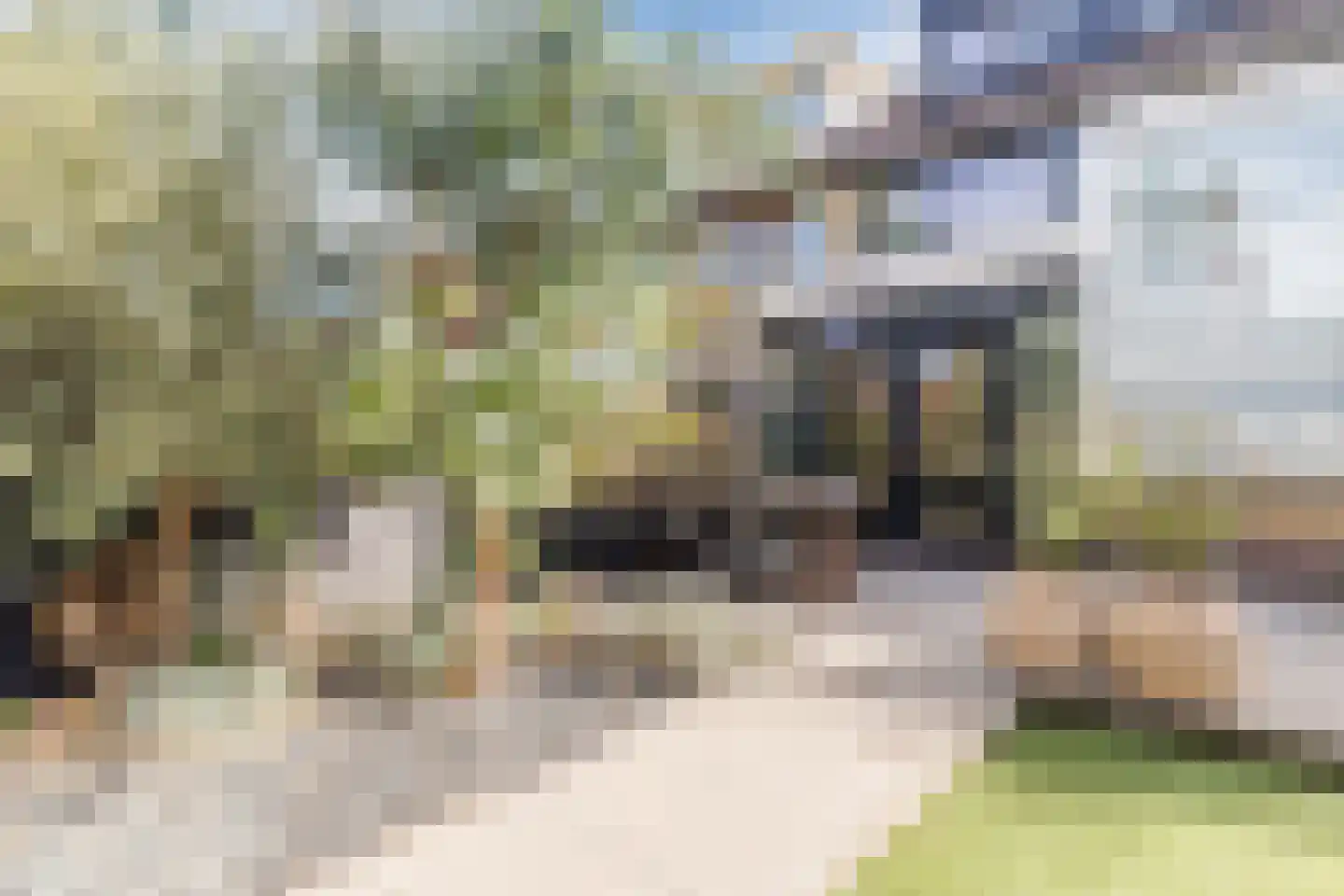 Castellumlaan 22 De Meern thumbnail 26