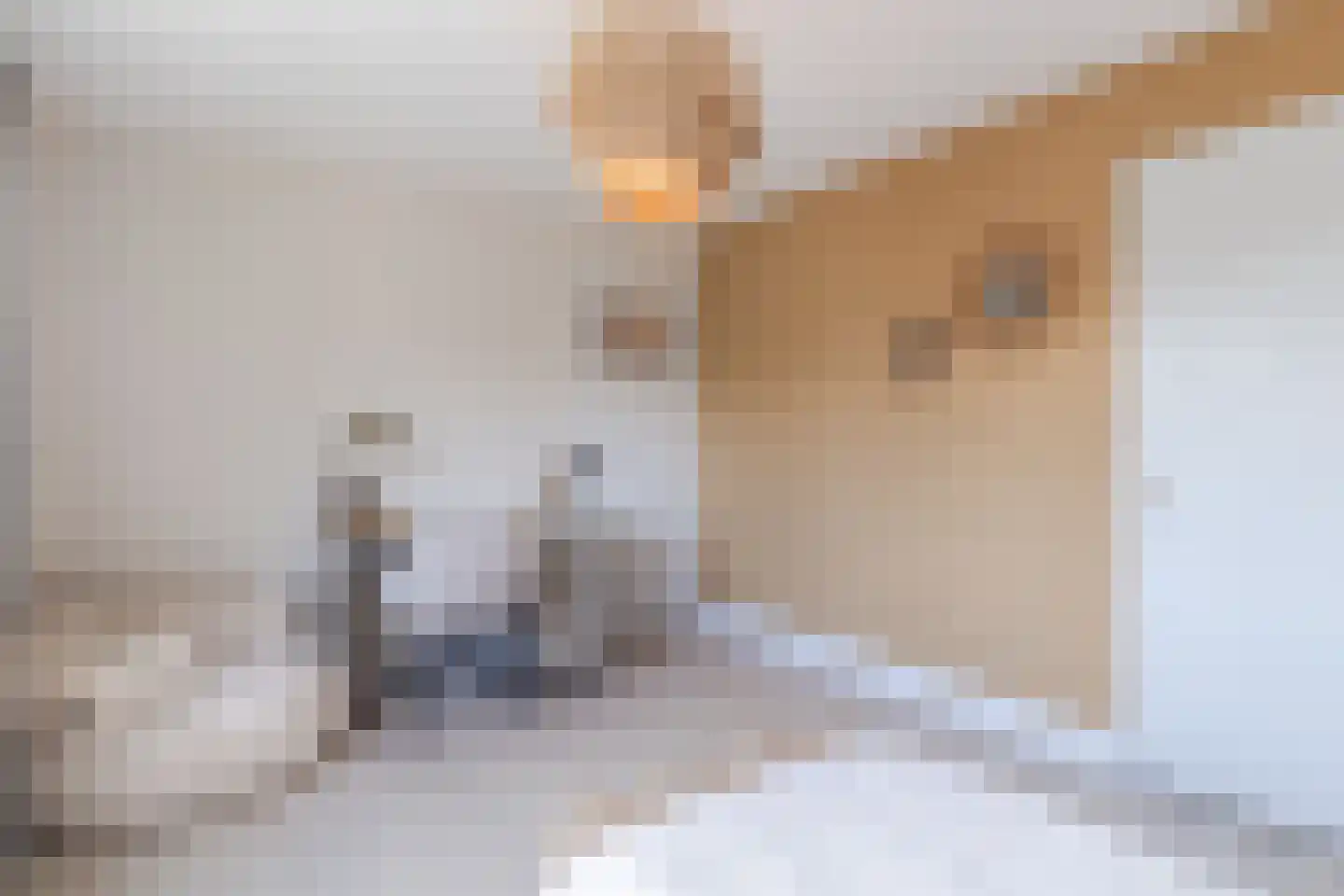 Castellumlaan 22 De Meern thumbnail 46