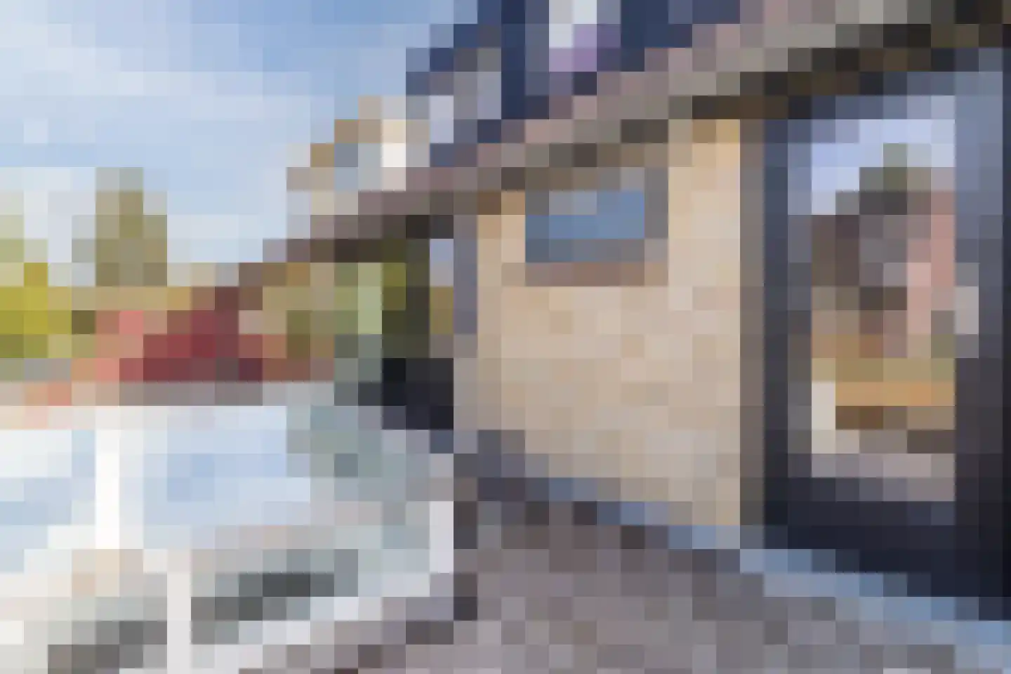 Castellumlaan 22 De Meern thumbnail 61
