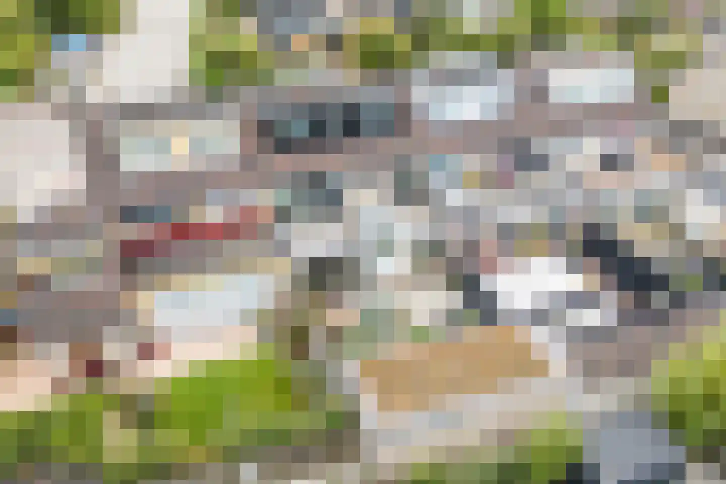 Castellumlaan 22 De Meern thumbnail 82