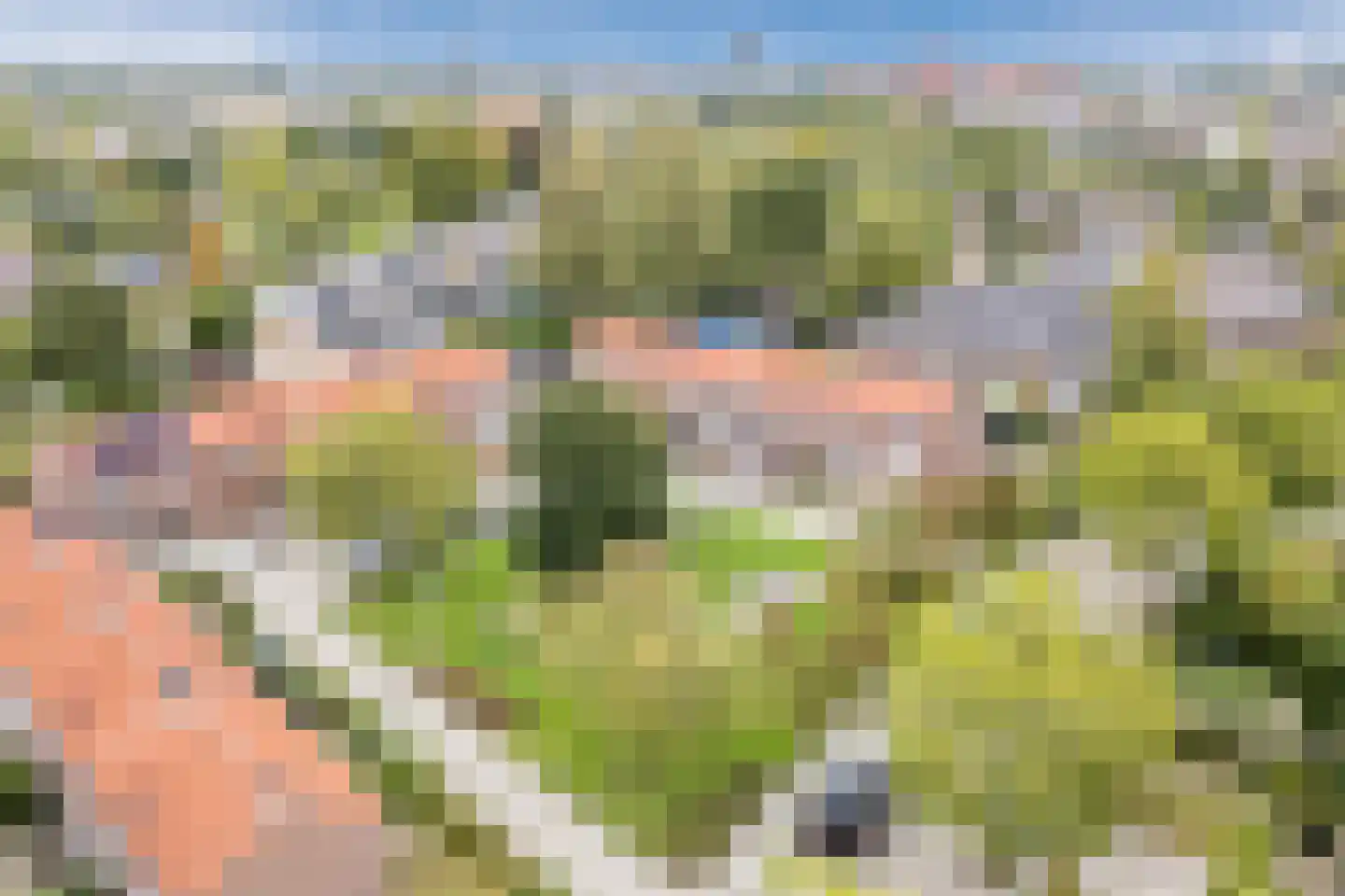 Castellumlaan 22 De Meern thumbnail 86