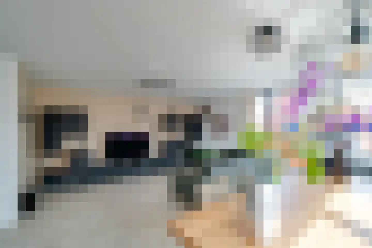 Castellumlaan 6 D De Meern thumbnail 13