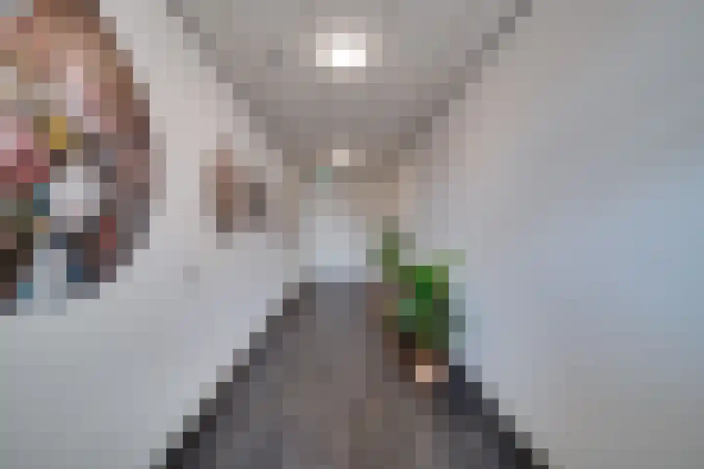 Castellumlaan 6 D De Meern thumbnail 19