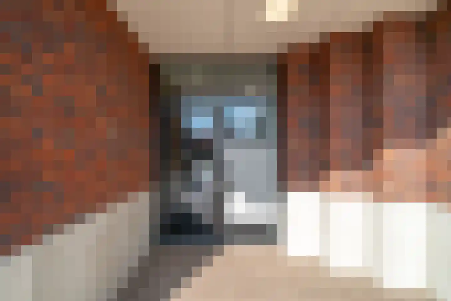 Castellumlaan 6 D De Meern thumbnail 20