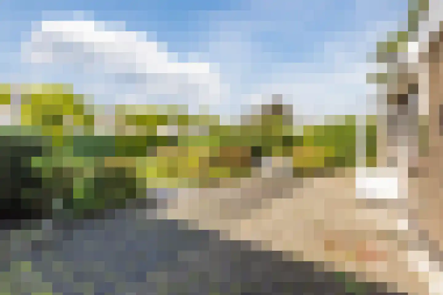 Castellumpark 6 De Meern thumbnail 25