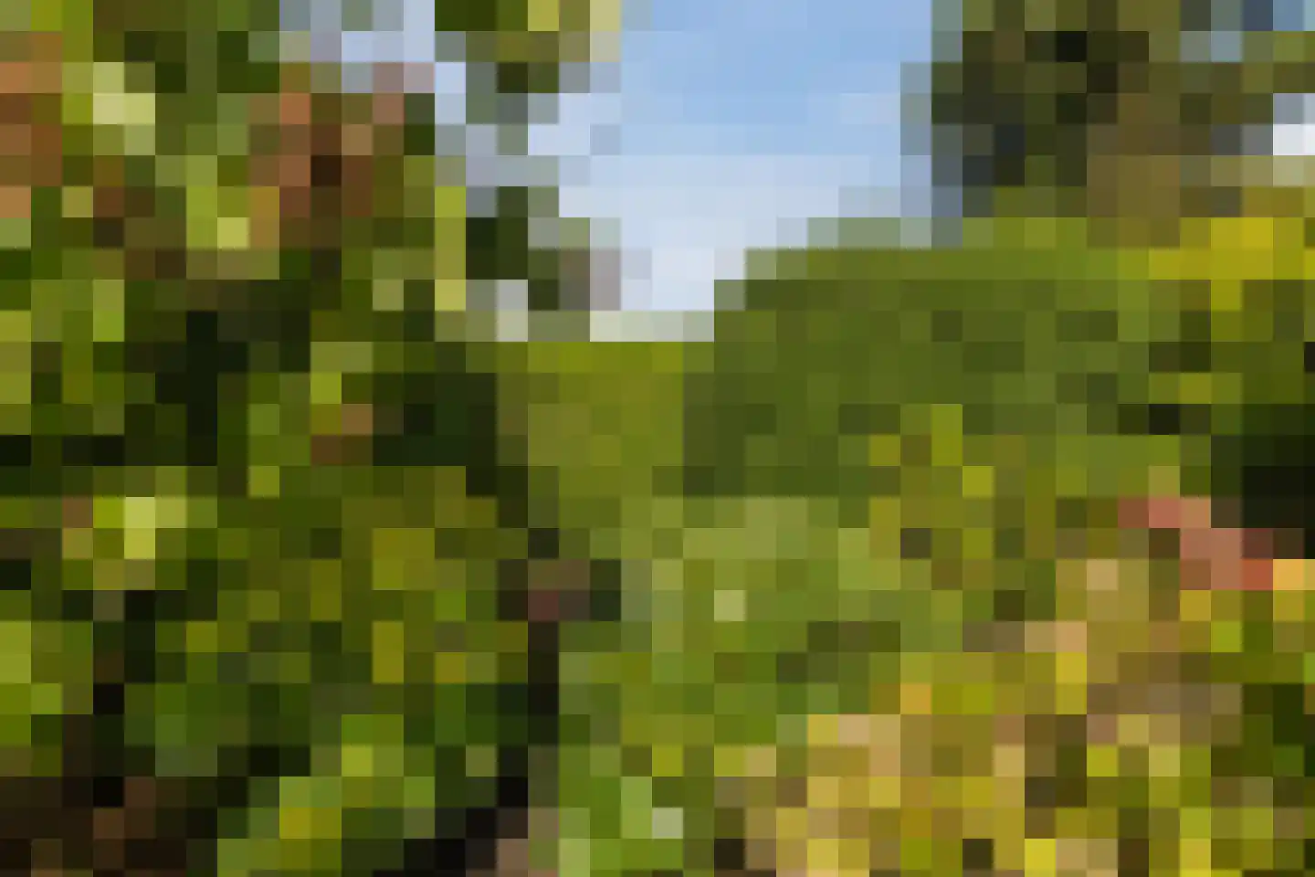 Castellumpark 6 De Meern thumbnail 27