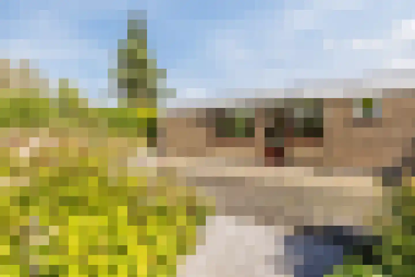 Castellumpark 6 De Meern thumbnail 31