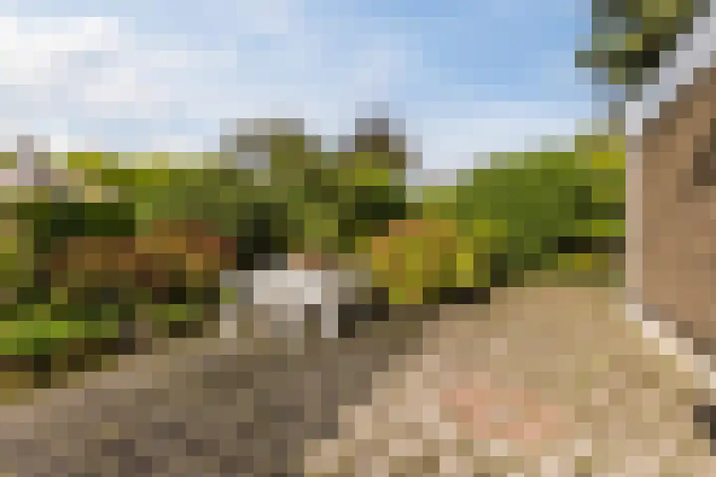 Castellumpark 6 De Meern thumbnail 32